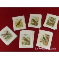 cartes_ornithologiques_par_albert_kull_2