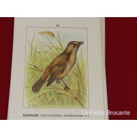 cartes_ornithologiques_par_albert_kull_4